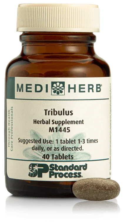 MediHerb Tribulus 40 Tablets