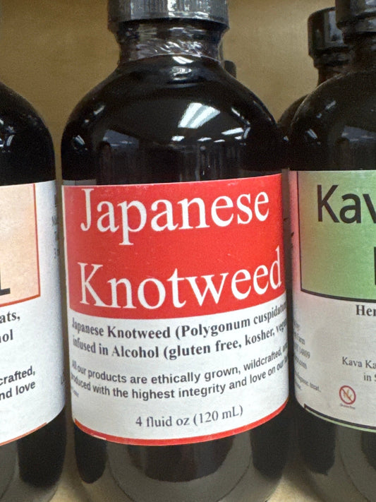 Healing Spirits Japanese Knotweed