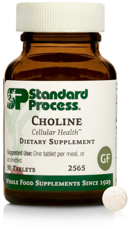 Standard Process Choline 90 Tablets