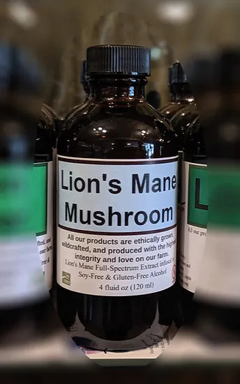 Healing Spirits Lion's Mane Tincture 4oz