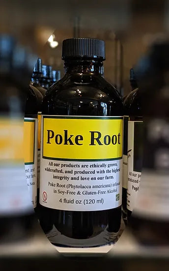 Healing Spirits Poke Root 4oz
