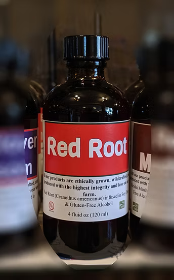Healing Spirits Red Root Tincture 4oz